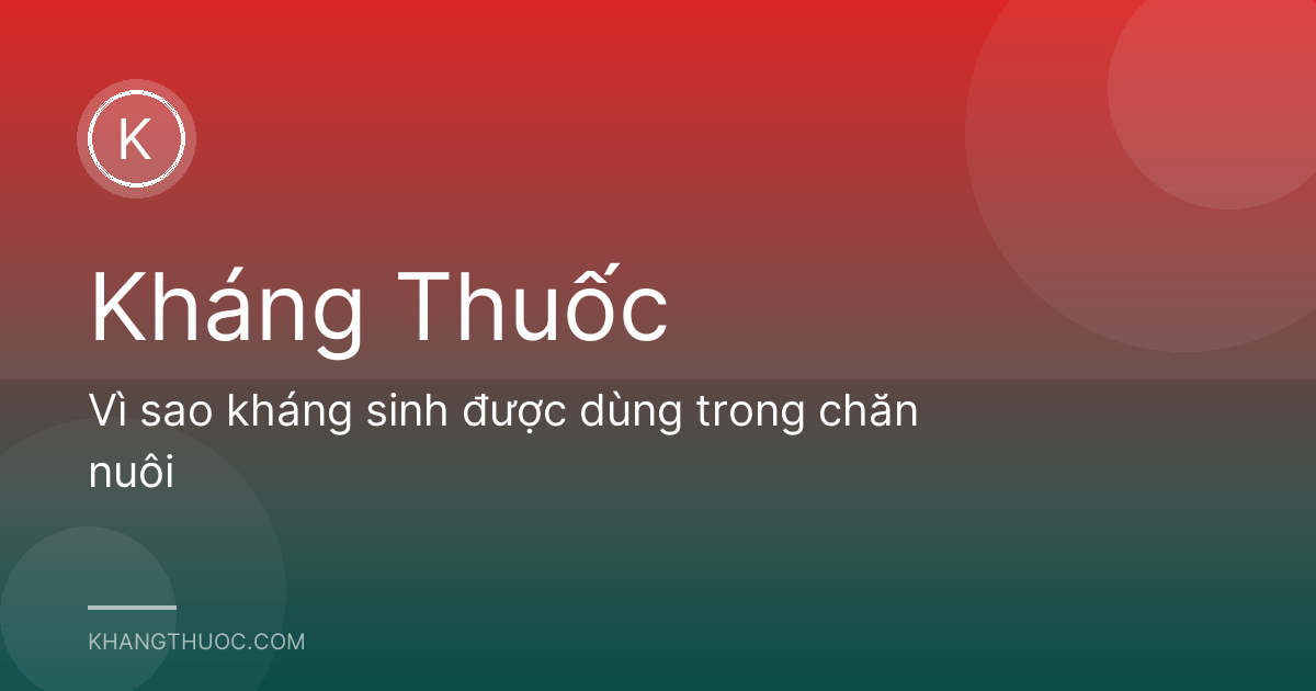 Vì sao kháng sinh được dùng trong chăn nuôi